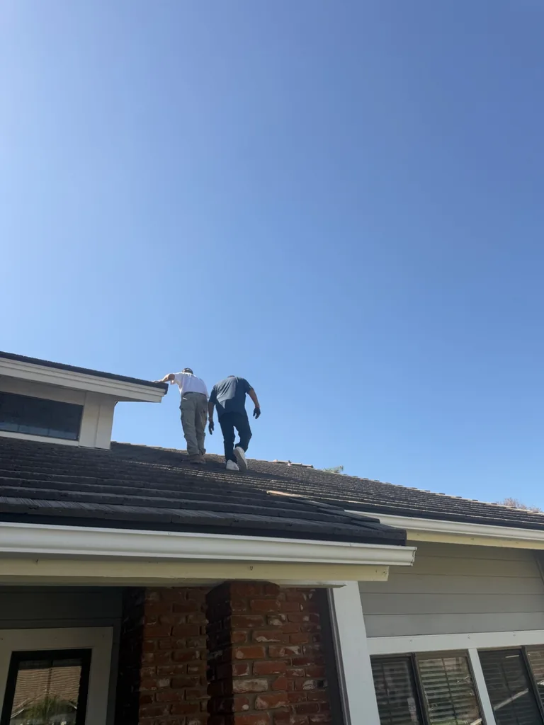 On the Roof